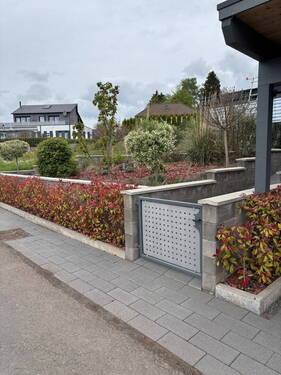 Eingang/Rampe - 