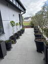 Ansicht - 