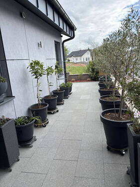 Ansicht - 