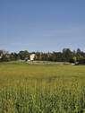 Weitansicht Osten - 
