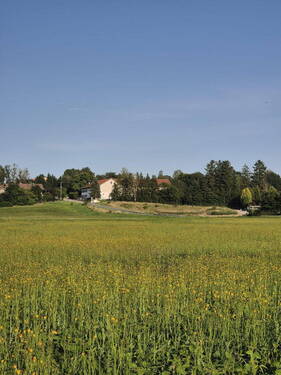 Weitansicht Osten - 