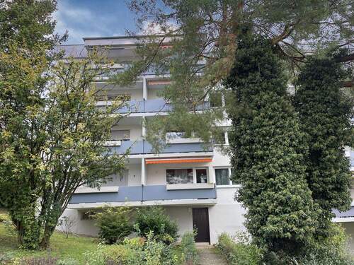 Rückseite vom Haus - 