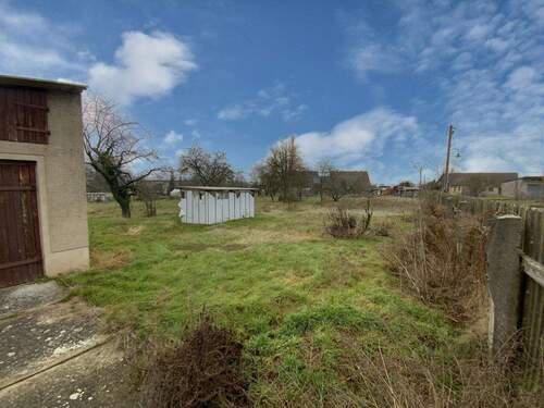 Blick in den Garten - 