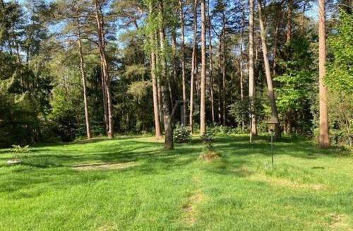 Blick auf die Auffahrt - 