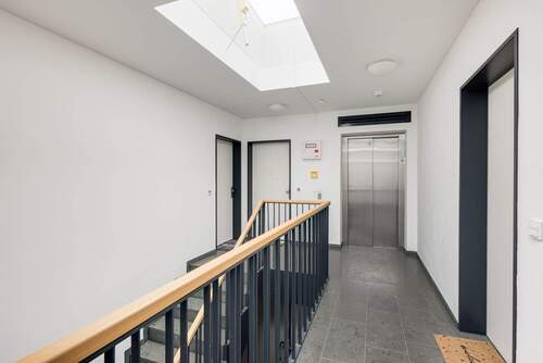 gepflegte Gemeinschaftsflächen - 