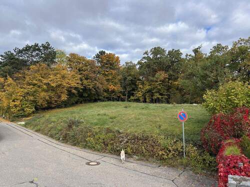 Frontalblick - Grundstück zum Kaufen in Lappersdorf