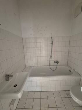 PHOTO-2025-01-30-13-41-16_2 - 