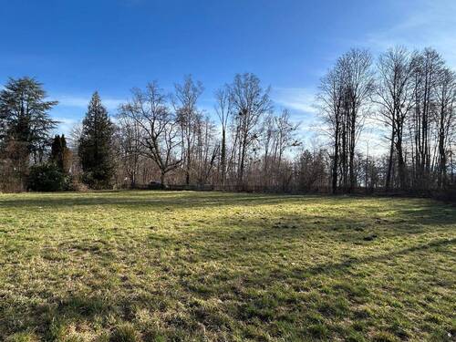 Blick zum See - Grundstück zum Kaufen in Dießen am Ammersee