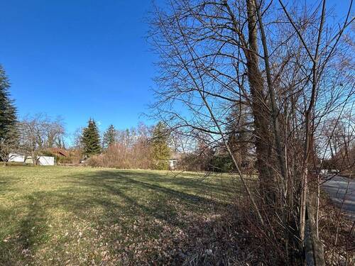 Blick nach Norden - Grundstück in Dießen am Ammersee zum Kaufen