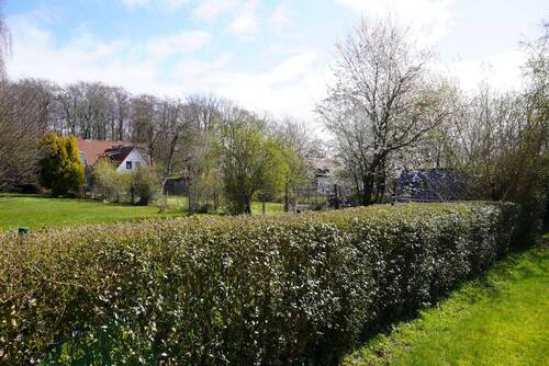 Blick in die Nachbargärten - 