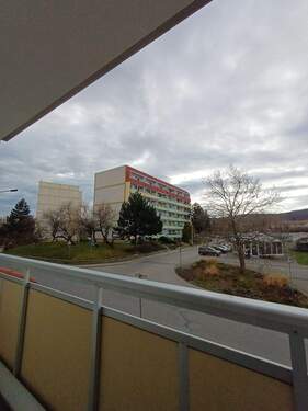 20251219_112316.jpg - 