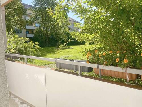 Kleiner Bakon über die Küche - 