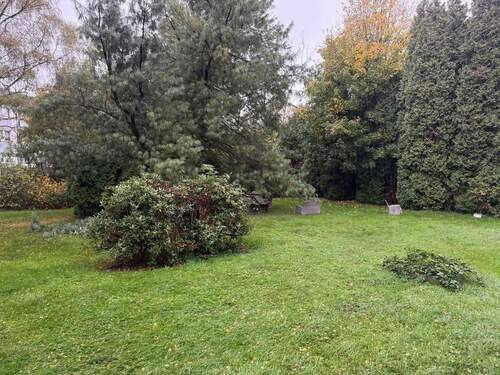 Gemeinschaftsgarten - 