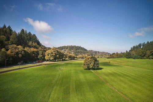 Wiehre-Günterstal: Für 4 sich einige Käufer, 4 Grü - Modernisiertes 4-Fam.Haus Bj. 1890 + Fabrik-Loft-Etage + viele neue Details + 405qm WNF + 528qm GS + Gartenhs + Paradiesgarten + ideal f. Aufteilg