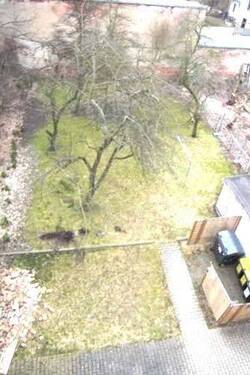 seba18_d2 - 2 Zimmer Etagenwohnung in Chemnitz