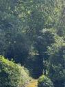 Blick in den Garten - 