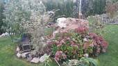 Bild 5 - 