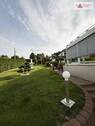 Garten_Detail - 