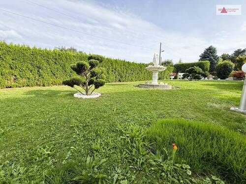Garten_Detail - 