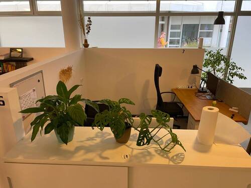 FixDesk Arbeitsplatz - Coworking Freilassing - All-in-Miete