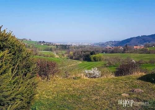 Blick nach West.jpg - 
