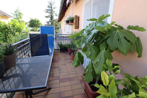 Balkon - 