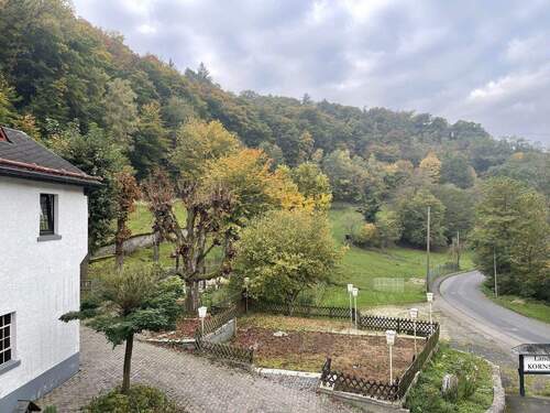 Blick ins Grüne - 