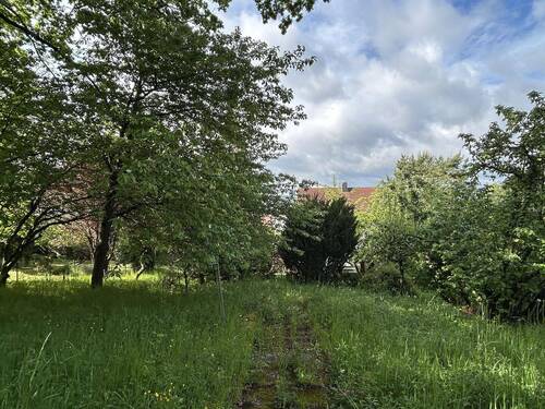 Garten - 