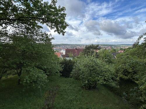 Garten - 