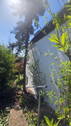 Treppe in den Garten - 