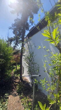 Treppe in den Garten - 