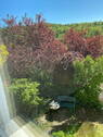 Blick durch das Wohnzimmer - 