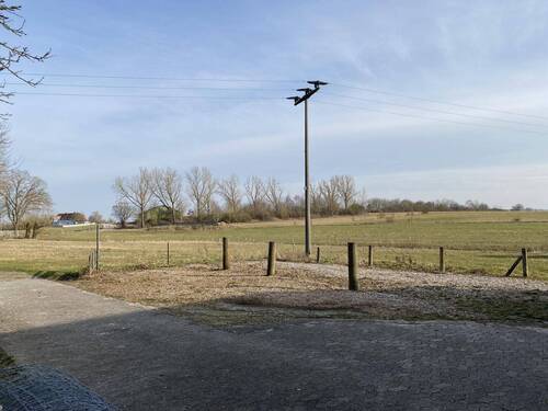 Wiese - 