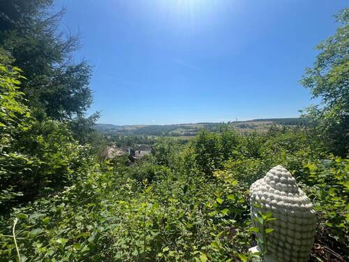 Blick - 