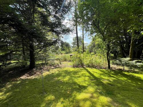 Hinterer Gartenbereich - 