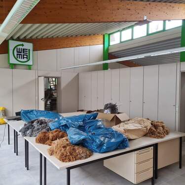 Objekt 100 (1).jpg - Halle in Illmensee zur Miete