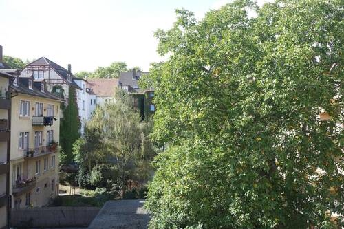Blick vom Balkon (Walnussbaum) - 