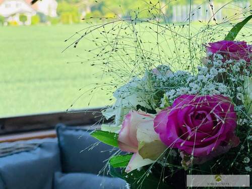 Impressionen zur Natur - 