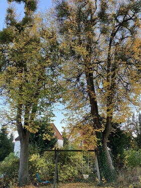 Gartennutzung - Etagenwohnung mit 145,00 m&sup2; in Kassel zur Miete