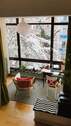 Wintergarten im Winter - 