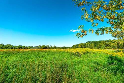 Wiesen auf der gegenüberliegenden Straßenseite - 