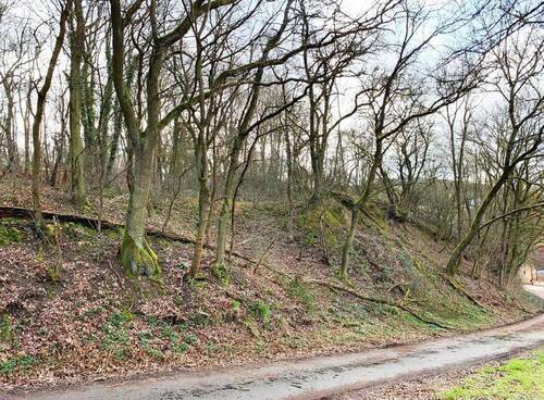 Bild 1 - Waldgrundstück im Kreis Bad Kreuznach zu verkaufen