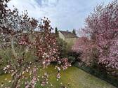 Blick vom Balkon - 