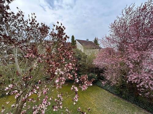 Blick vom Balkon - 