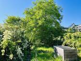 ebene, terrassierte Gartenfläche mit Baumbestand - 
