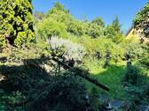 gut nutzbare Gartenfläche - 