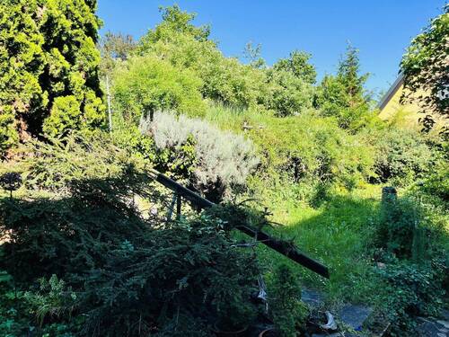 gut nutzbare Gartenfläche - 