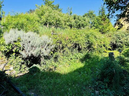 eine grüne Oase... der Garten mit gewachsenem Baum- und Strauhbestand - 