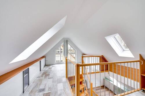 Dachspitz - 