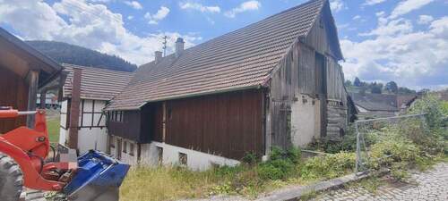 Rückseite - 7 Zimmer Mehrfamilienhaus, Wohnhaus zum Kaufen in Gernsbach-Reichental